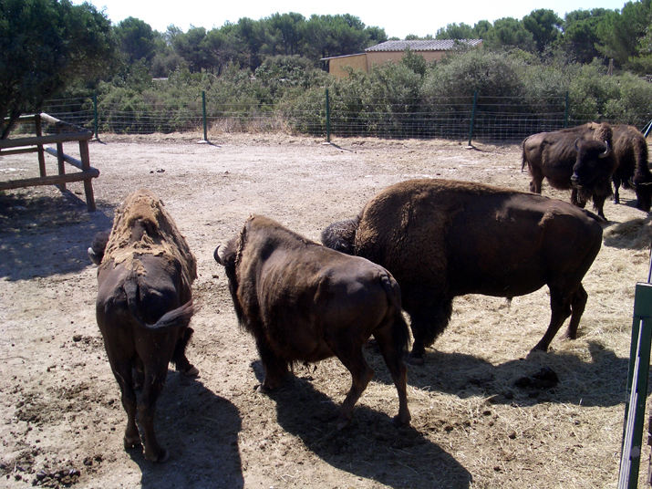 2005-08 La BArben 017.JPG